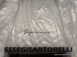 NEW MY 2026 ADRIA SUPERSONIC 890 LL 170 CV POWER AUTOMATICO pieno