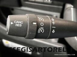 ROLLER TEAM KRONOS ADVANCE 295 TL BASCULANTE MAXIGARAGE MY 2024 (12/2023) 699 CM pieno