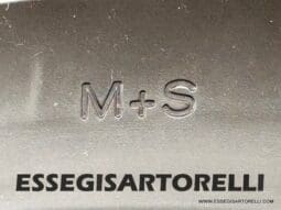 ROLLER TEAM KRONOS ADVANCE 295 TL BASCULANTE MAXIGARAGE MY 2024 (12/2023) 699 CM pieno