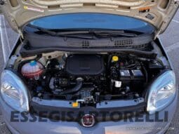 FIAT PANDA HYBRID (BENZINA/ELETTRICO) 2021 5 POSTI pieno