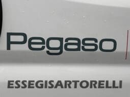 ROLLER TEAM PEGASO GARAGE LIVING 160 CV POWER GARAGE UNIPROPRIETARIO 2007 pieno