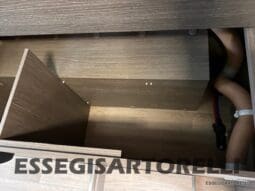 CHALLENGER V 217 LETTI GEMELLI VAN 636 CM FULL 2021 pieno