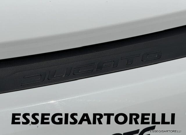 PILOTE VAN V 600 G VEGA AUTOMATICO 2025 599 cm GIA’ CABINA ULTIMO DUCATO FULL pieno