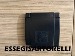 PILOTE VAN V 600 G VEGA AUTOMATICO 2025 599 cm GIA’ CABINA ULTIMO DUCATO FULL pieno