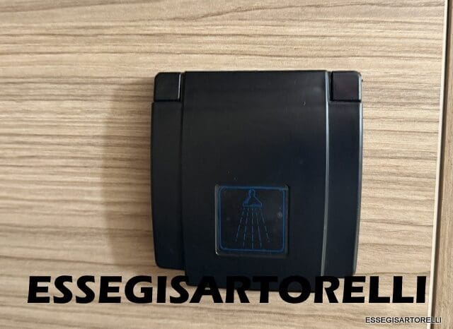 PILOTE VAN V 600 G VEGA AUTOMATICO 2025 599 cm GIA’ CABINA ULTIMO DUCATO FULL pieno