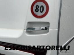 FENDT BIANCO ACTIVE 550 SD 12/2023 UNIPROPRIETARIO MOVER AL-KO MAMMUT pieno