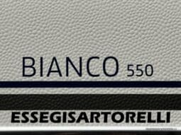FENDT BIANCO ACTIVE 550 SD 12/2023 UNIPROPRIETARIO MOVER AL-KO MAMMUT pieno
