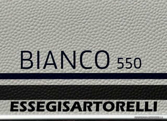 FENDT BIANCO ACTIVE 550 SD 12/2023 UNIPROPRIETARIO MOVER AL-KO MAMMUT pieno