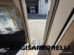FENDT BIANCO ACTIVE 550 SD 12/2023 UNIPROPRIETARIO MOVER AL-KO MAMMUT pieno